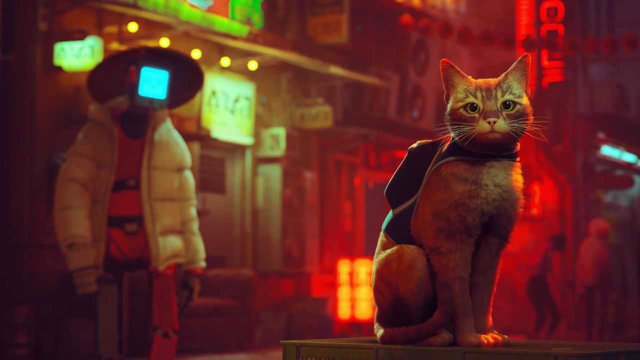 Stray diventa un film con protagonista un tenero e vendicativo gattino rosso thumbnail