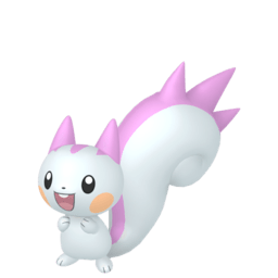 Pachirisu glänzend