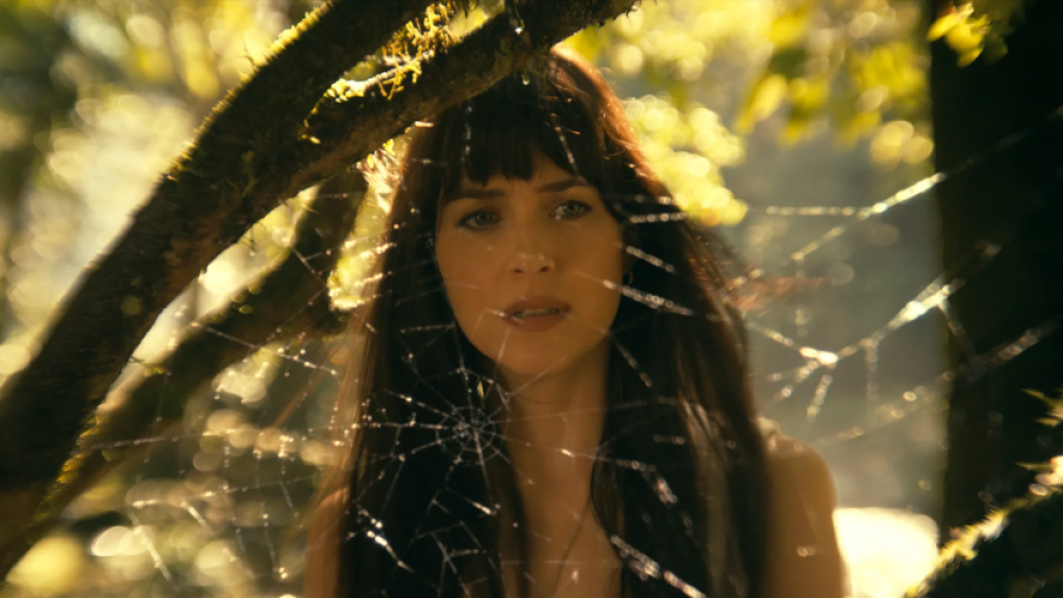 Madame Web Dakota Johnson betrachtet ein Netz im Wald.  Dieses Bild ist Teil eines Artikels darüber, ob Spider-Man in Madame Web vorkommt.