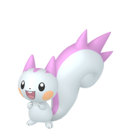 Pachirisu glänzend